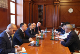 Novruz Məmmədov Qazaxıstan Baş nazirinin müavini ilə görüşüb