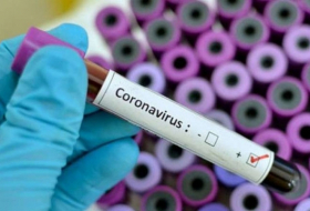 Gürcüstanda daha 10 nəfər koronavirusa yoluxdu