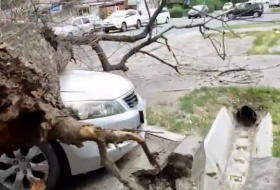    Qırğızıstanda qum fırtınası başlayıb -    Video      