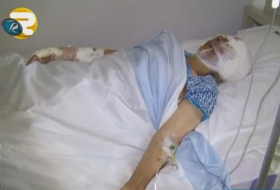 Xaçmazda çaqqallar 77 yaşlı qadına hücum etdi – Video
