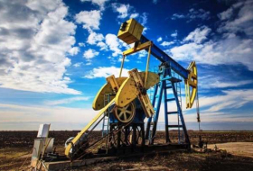 Azərbaycan nefti 43 dollaradək bahalaşdı