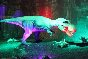 Dinozavrlar Bakıda – FOTOLAR, VİDEO