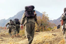 PKK-da parçalanma - daha bir lider İrana qaçdı