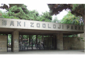       Bakı Zooparkı bağlanır    - Heyvanlar Qaradağa köçürülür   