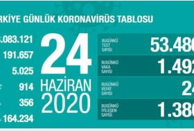 Türkiyədə koronavirusdan daha 24 nəfər ölüb