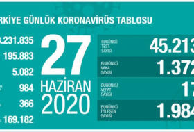  Türkiyədə koronavirusdan daha 17 nəfər ölüb 
