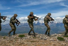 Türkiyə ordusu daha 8 terrorçunu zərərsizləşdirdi 