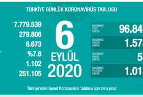 Türkiyədə son sutkada koronavirusdan 53 nəfər öldü 