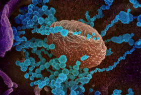 Koronavirusun mutasiya etmiş yeni forması tapılıb
