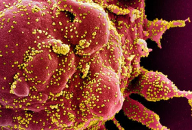 Fransada koronavirusun yeni ştammı aşkar edildi 