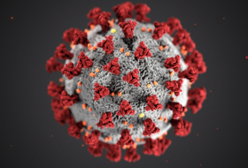 Virusun yeni ştammı daha bir ölkədə aşkarlandı