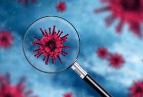  Koronavirusun yeni ştammı Avropanın 22 ölkəsində aşkarlandı 