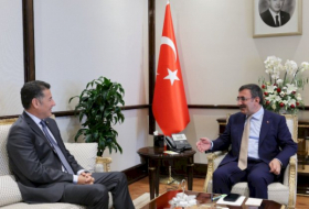   Türkiyənin vitse-prezidenti Sinan Oğanı qəbul etdi -    FOTO       