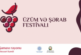 Üzüm və Şərab Festivalı təxirə salınıb  
