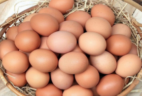 Rusiyaya daha 306 min yumurta göndərilib