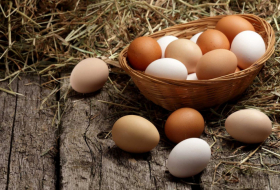 Azərbaycan Rusiyaya daha bir partiya yumurta tədarük edib