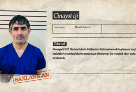 İran vətəndaşının narkokuryerliyə cəlb etdiyi dəstə üzvü saxlanılıb  
