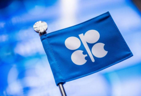 Energetika naziri OPEC-in iclasına gedir